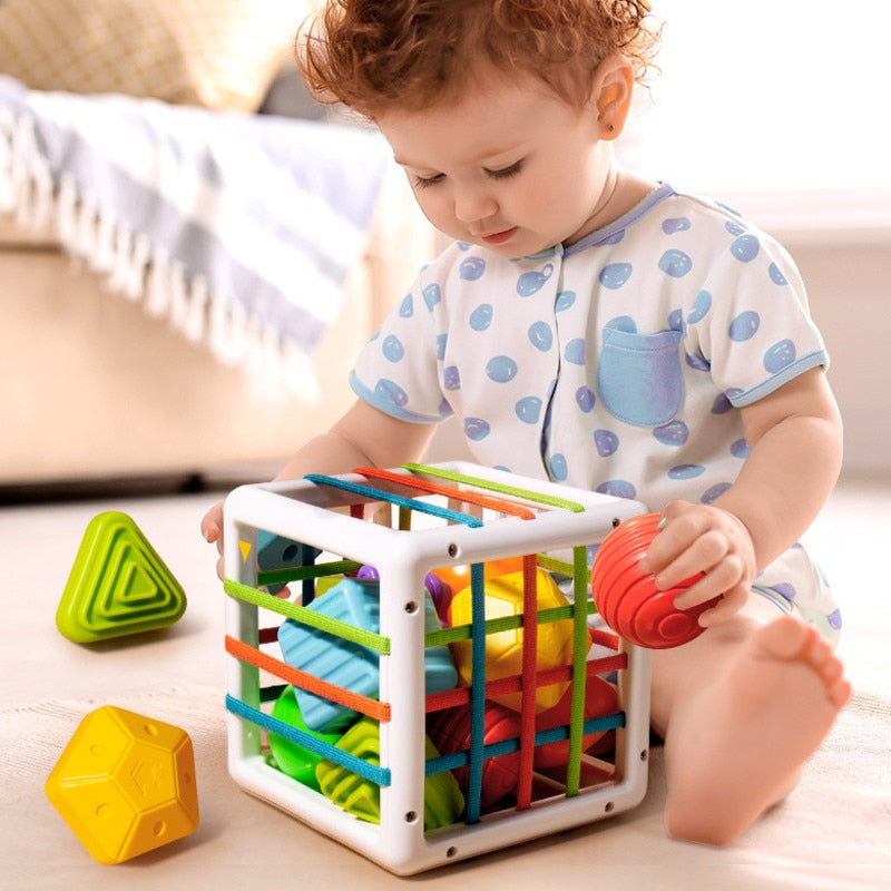 Montessori Cubo Sensorial Baby